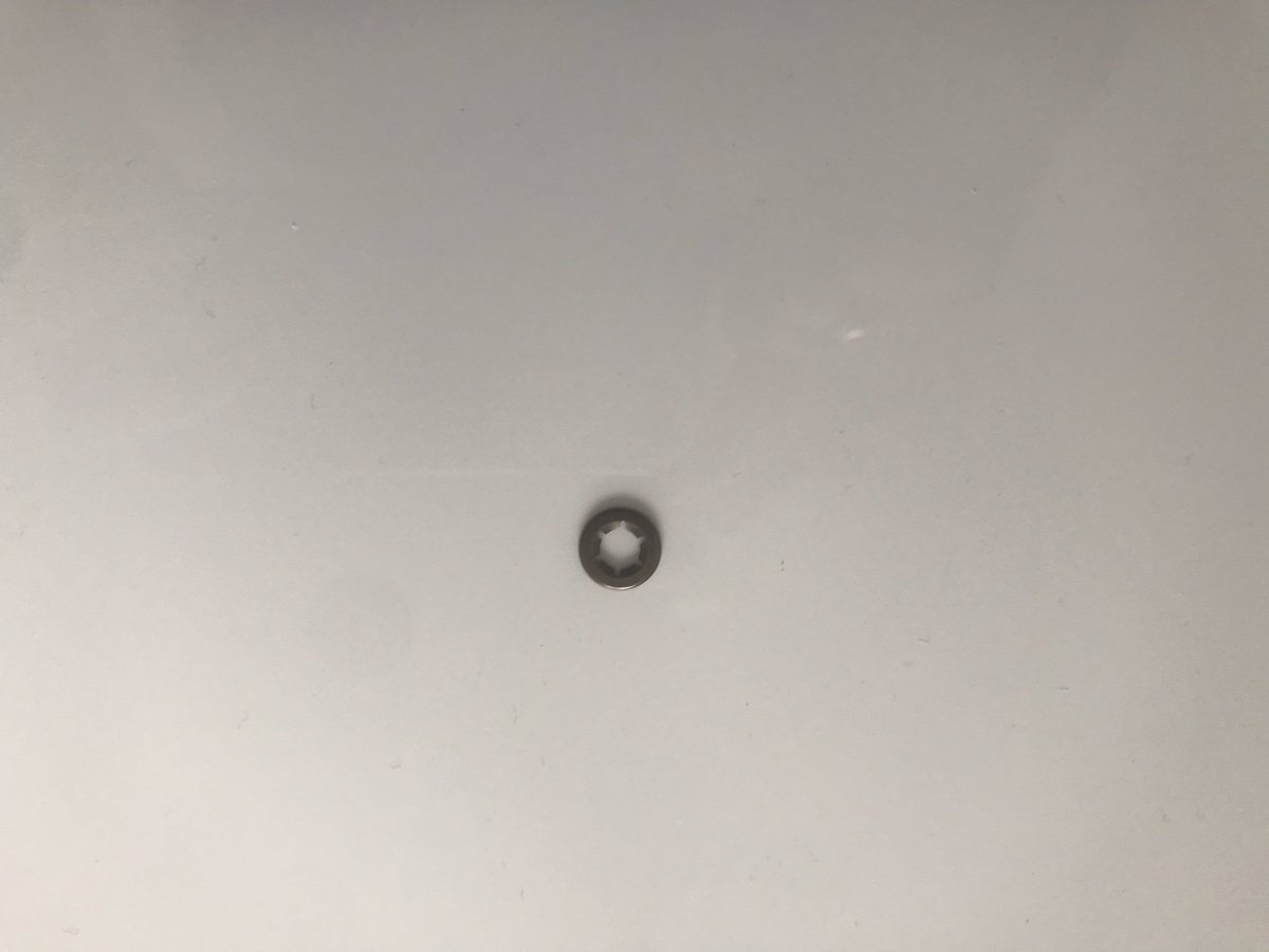 Lynsey Hoxha tweet media