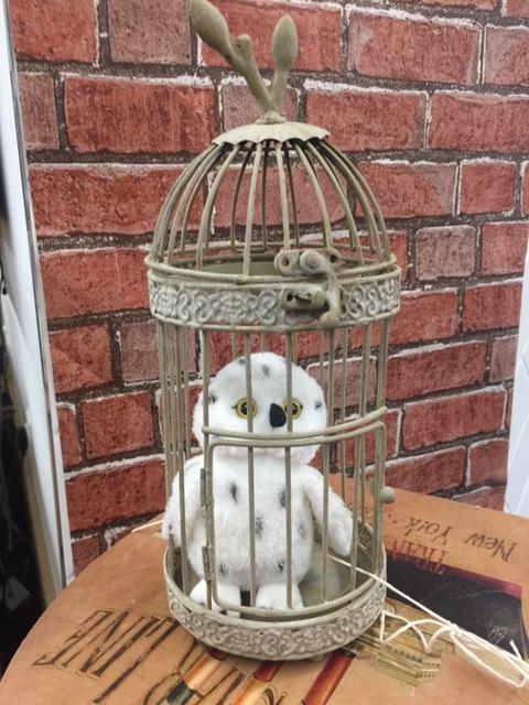 EDLC_Culture's tweet photo. The library is where the magic begins! Come and enjoy Harry Potter world in Bishopbriggs library! #harrypotter #flyingkeys #potionclass #quidditch #muggle #wizard #jkrowlling #goldensnitch #hogwarts #sortinghat #gryffindor #hufflepuff #ravenclaw #slytherin #butterbeer https://t.co/AAHl8CGLE1