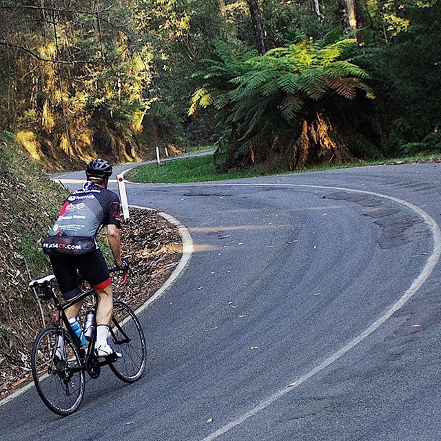 PEAKS4CF's tweet photo. Nursing a foot injury @stuartisaacs13 (Big Stu) showed nothing but heart in dragging himself up Mt Donna Buang on the weekend. Stuart is pushing himself to the limit to raise money and awareness for children and families affected by Cystic Fibrosis.
Hit … https://t.co/7377uJR6bo https://t.co/eAJParLE7p