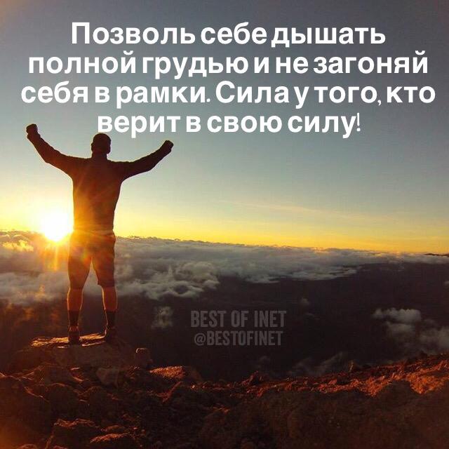 Лучшие высказывания tweet media