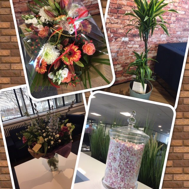 Consolit's tweet photo. We zitten nu ruim een week in het mooie Dordrecht! We hebben heel veel leuke berichten en attenties mogen ontvangen. Nogmaals bedankt! #Unit4 #lucrasoft #Vismasoftware #BIZHandelskade #Amesautobedrijf #seaminvestments https://t.co/r1D0o2yrqd