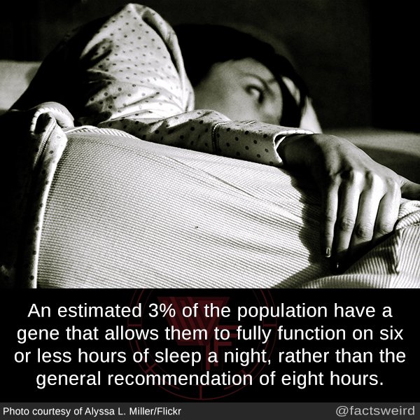 blowingfact's tweet image. 