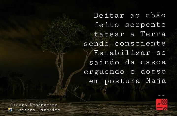 ciceronep's tweet photo. #poesia
#kin145
#sincronáriodapaz
#temponatural https://t.co/pxdPaXybSQ