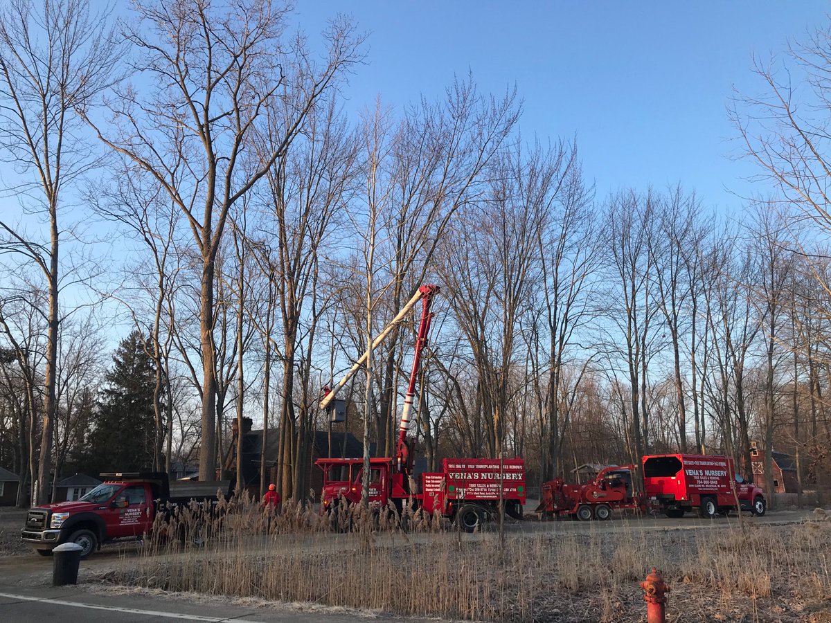 torontotreesgta's tweet image. RT  RT  RT  RT @venasnursery: Good morning Tuesday Yeah!!!! Cleaning up a ditch continued from yesterday!! #TreeRemova…