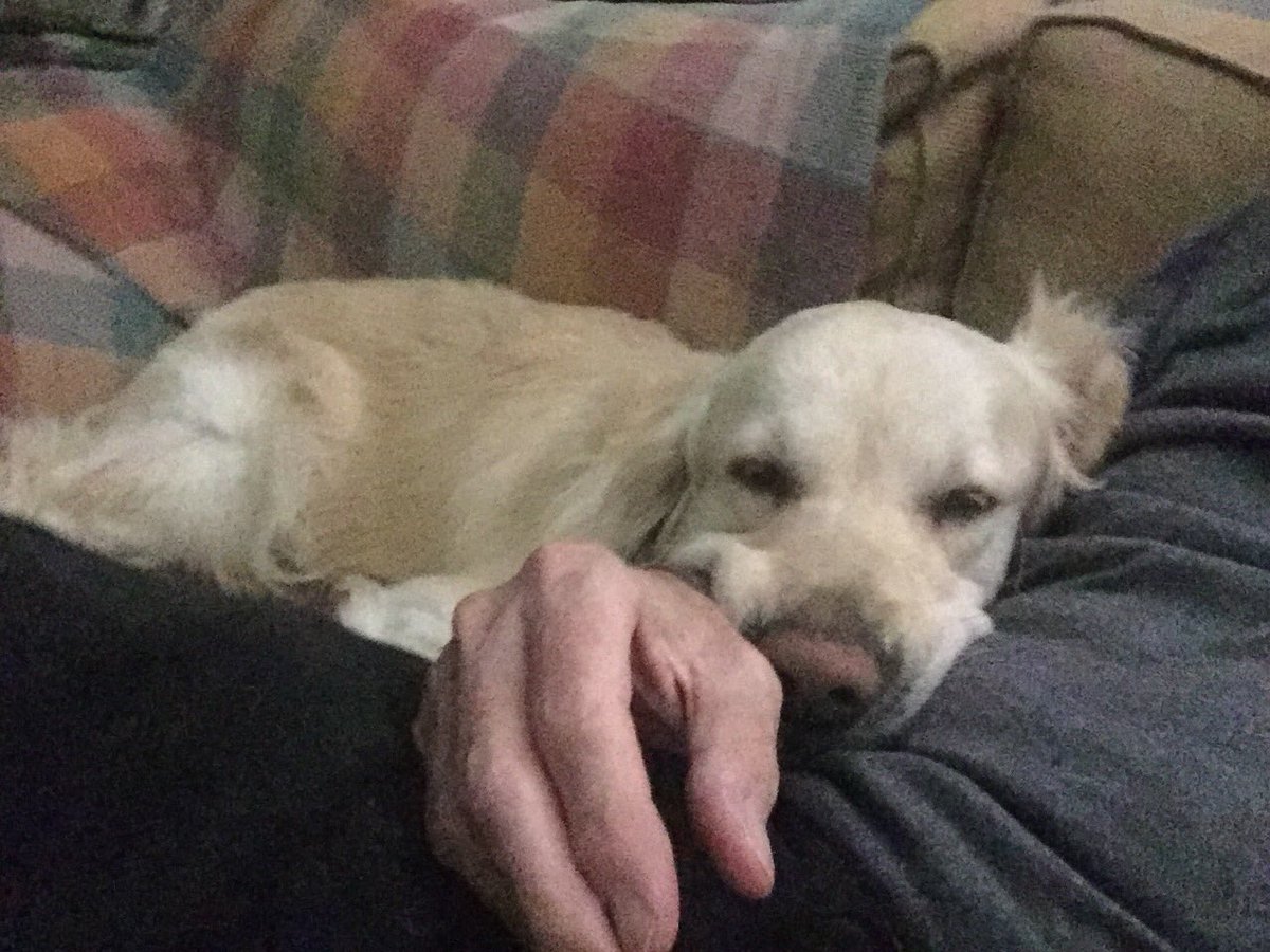 Fernando De A-A tweet media