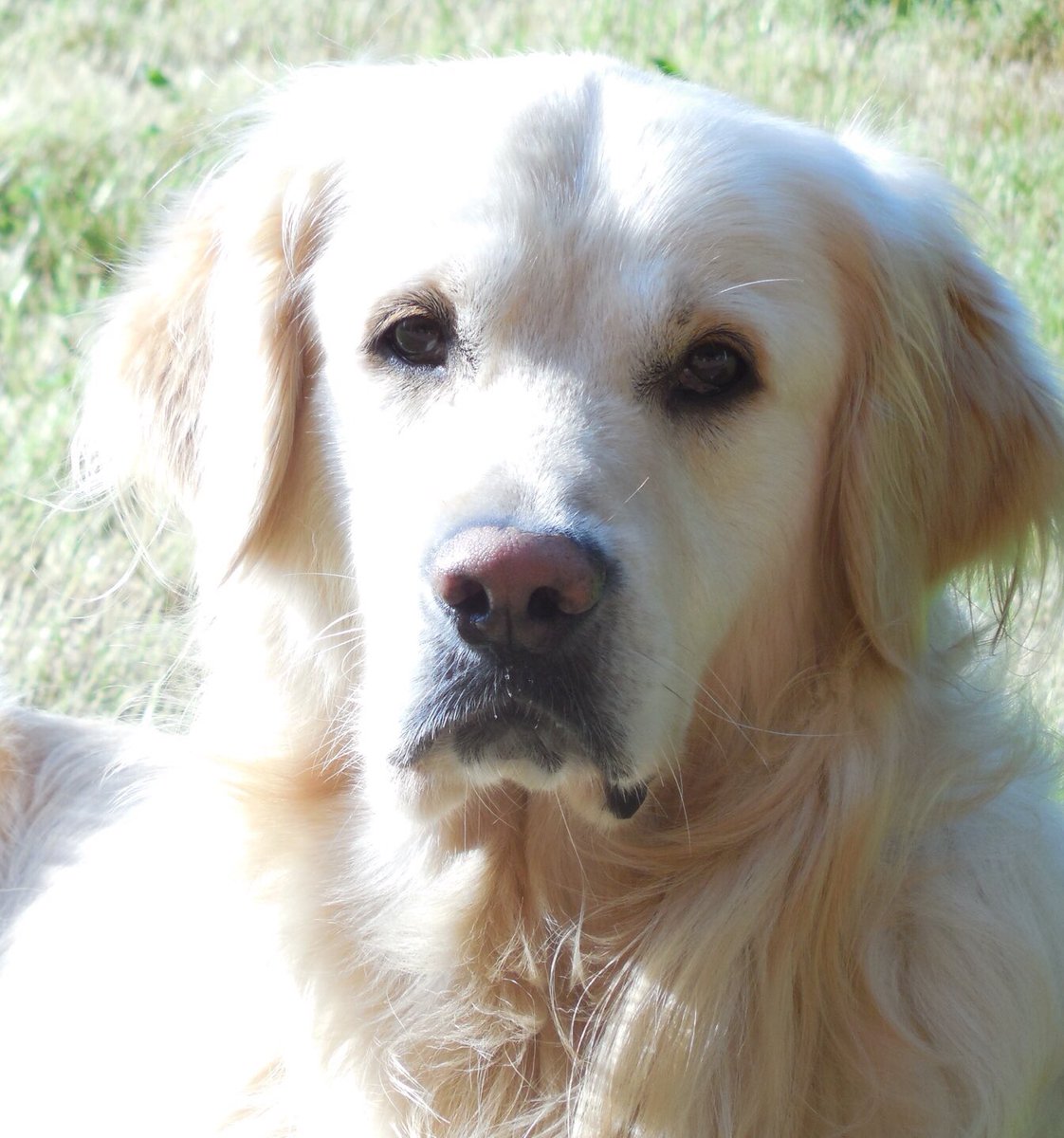 Fernando De A-A tweet media