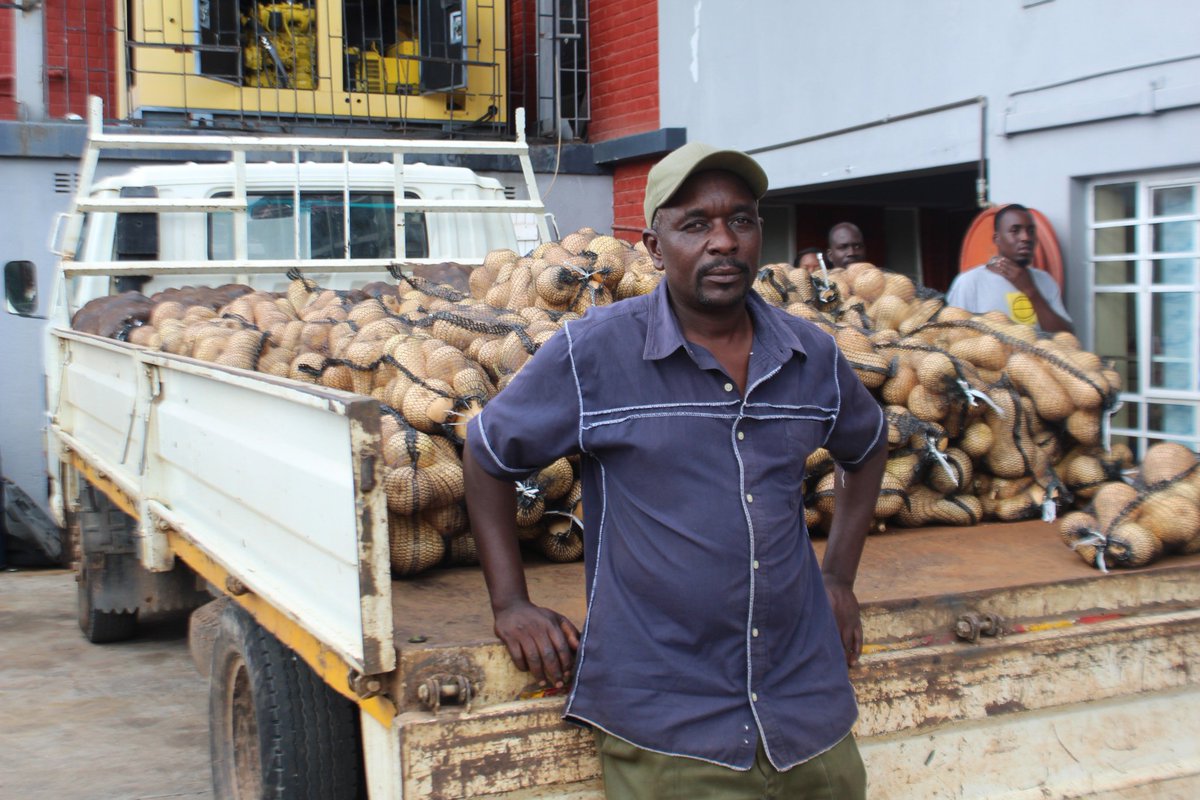ManicaPostZim's tweet photo. #CycloneIdaiZW  Rescue mission continues..thank you Brandsfresh Mutare for donating 1 tonne of potatoes and 1 tonne butternuts @diamond1038FM @HeraldZimbabwe @ZimpapersI https://t.co/UtMwf4oxwX