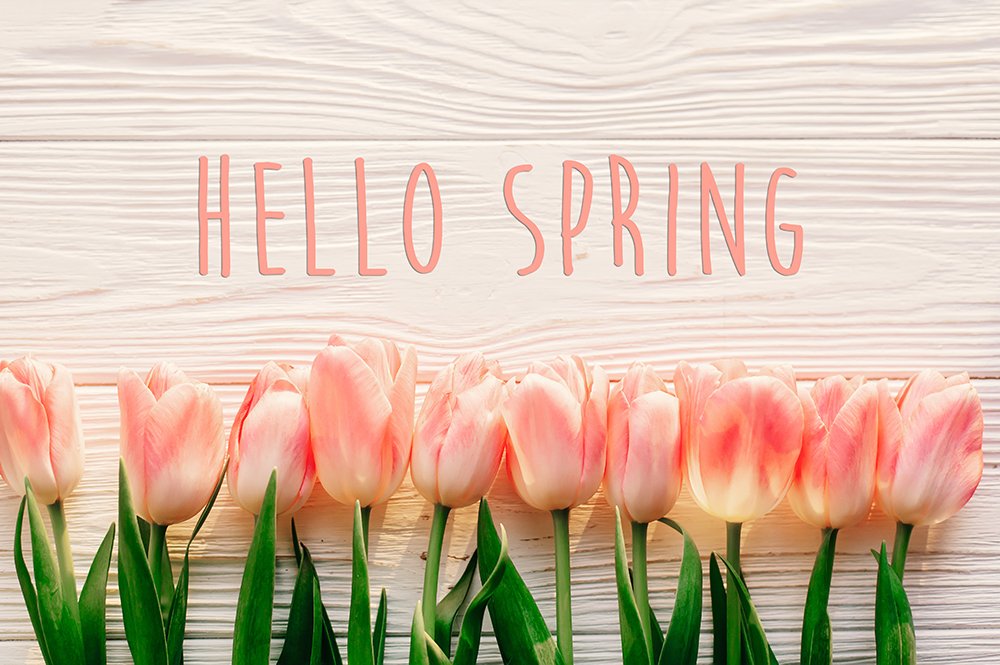 medforward's tweet photo. Make sure your website is spring ready
1: Responsive website.
2: SSL certificate
3: Website has #HIPAA compliant #secureforms 
4: Over all aesthetically pleasing and clean look.
5: Entire website is set up with #SEO
For more info call 888-562-5914 or visit https://t.co/QrgCZDJ7fw https://t.co/3vIyAwpaLW