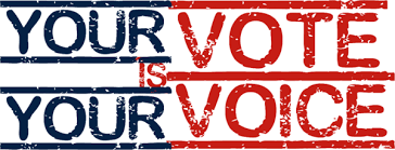 ProjectVoteBC's tweet photo. Project VOTE of Brown County, Wis. is a grassroots volunteer group dedicated to increasing informed voter turnout. We are non-partisan and don't endorse. Your vote is your voice - be heard on Election Day! https://t.co/Xf4DcnTnBR