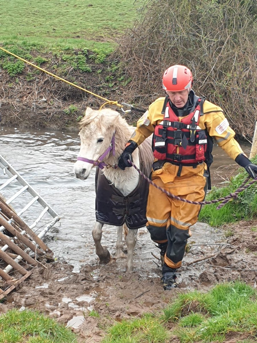 Bristol_Fire's tweet photo. Bedminster #Greenwatch is back and before long, they were in Wraxall, #NorthSomerset assisting our on-call colleagues with a horse in water. The horse, let's call him Flipper, was captured and safely walked back to Terra Firma. @NSomTimes  #notjustfires #whythelongface #horse https://t.co/KeozE7rK7l