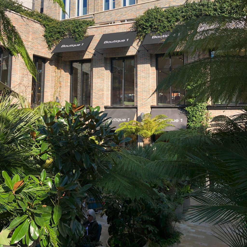 SloaneStreetSW1's tweet image. Discover the tranquil oasis in the heart of #Chelsea @Pavilion_Road #palmtreeparadise