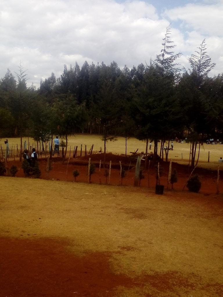 ericheruiyot's tweet image. Sahara  desert is mutating in Africa, Kenya&apos;s parts included, Baring, turkana etc