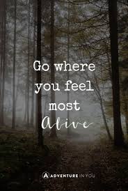 Sustain_PROMISE's tweet photo. Where do you feel most alive? https://t.co/hU5vj6ZnsR