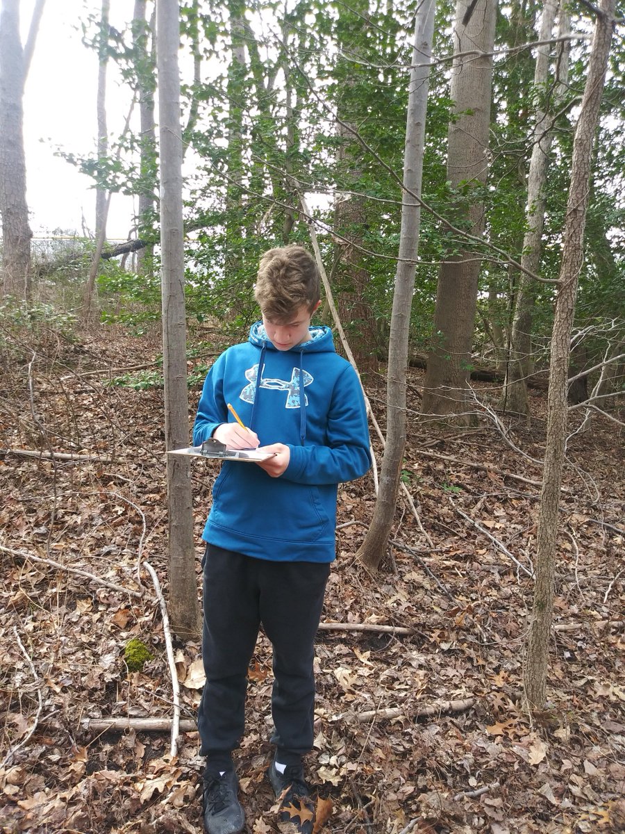 News from tweet media