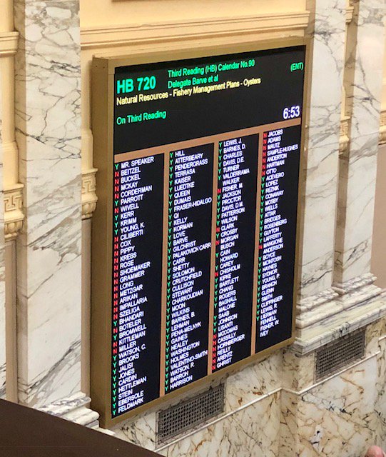 colden_here's tweet photo. And in the evening of #crossover day in #MDGA19, #HB720 passes third reader. Though there's still a ways to go to the finish line, but I'm feeling a sense of #oysteroptimism tonight. Thanks to Chair @KumarBarve and @DelDanaMStein1 for your leadership! https://t.co/oJxiod8JMl
