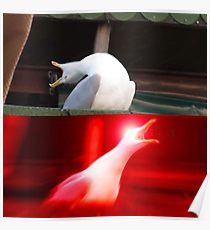 Gary The #ColdChain Goose tweet media