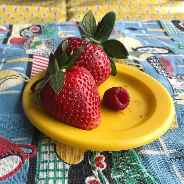 Strawbs in the sun ☀️ 🍓☀️ Actually... out of season strawbs being lit up by a bit of gloomy March sky, BUT, a bit of naturally diffused light is often👌🏻when it comes to papping one’s food. 🤓 
An outtake from this weekend’s Guardian food styling &amp; pho… ift.tt/2JoCw7R