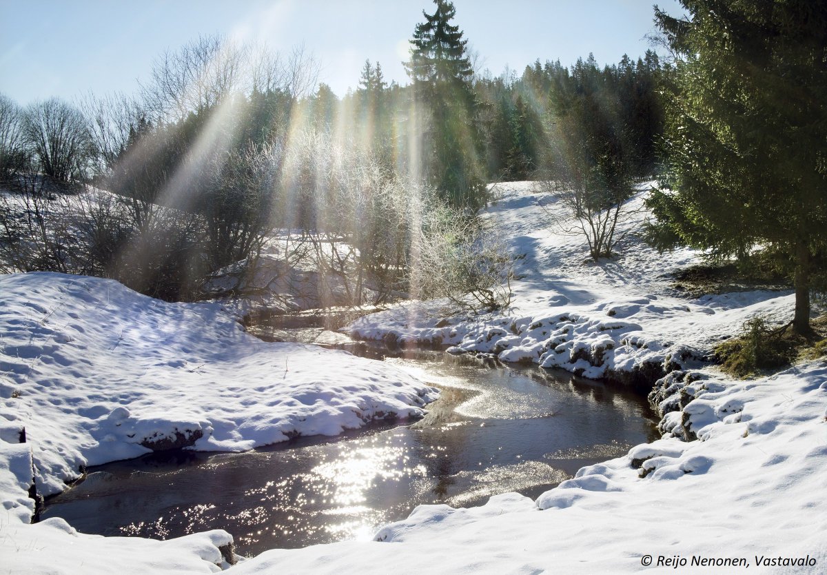 Tänään se on, #kevätpäiväntasaus 💛 Aurinko siirtyy eteläiseltä taivaanpallon puoliskolta pohjoiselle. Lähtölaskenta kesään alkaa. #luonto #kevät #retkeily