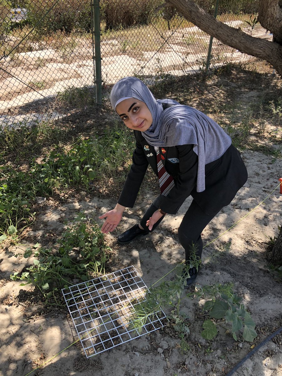 NESBiologyALev's tweet image. Field work today in A2 Bio. Random sampling on the walking track area, included use of quadrants, line transects and pit fall traps #biodiversity #randomsampling