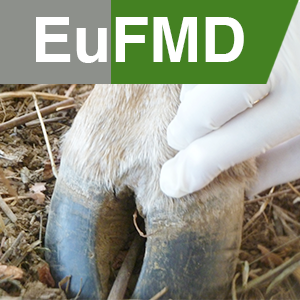 Eufmd's tweet photo. #OS18 It was only last October that we held our #OpenSession on Increasing Global Security in the supply of Effective vaccines, in Puglia. Look back at the book of abstracts https://t.co/6NRDLJwyOy https://t.co/B9F0wv3UMP