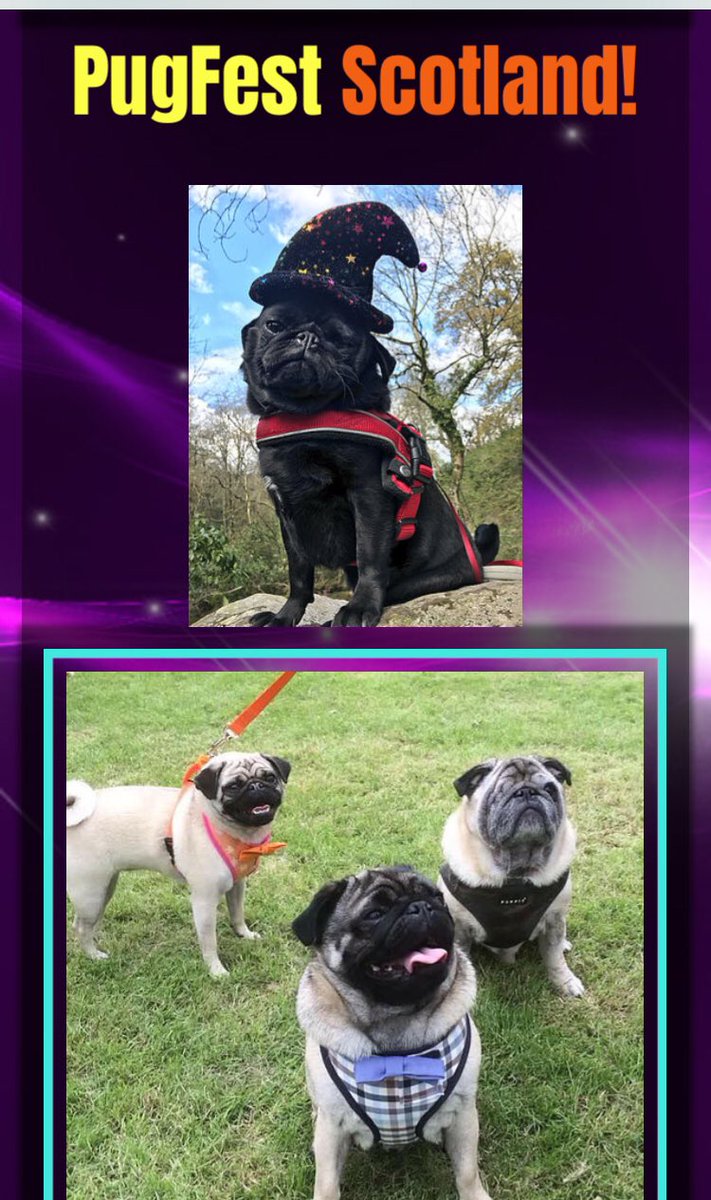 Richard Cobb tweet media