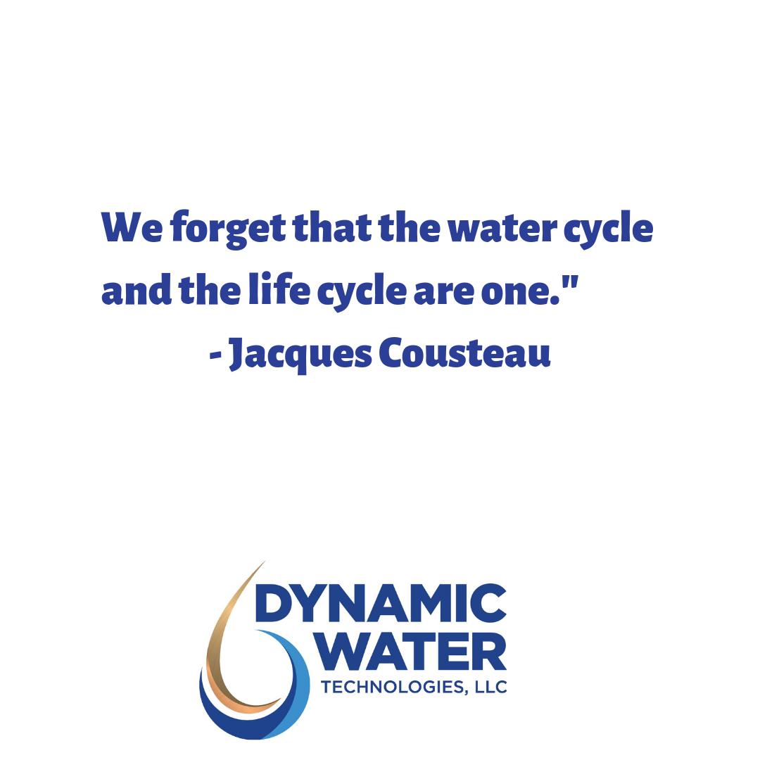 DynamicWater's tweet photo. The consequences of forgetting this are too great.
#DynamicWater #watercycle #lifecycle #savewatersavelife #lestweforget #watertreatmentsystem #savewater #water #sustainableresource https://t.co/hViPPgNfZX