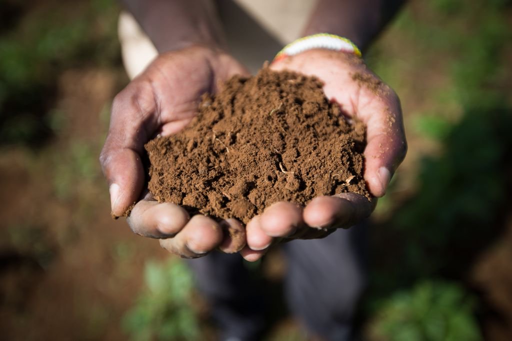 “If your #soil is a black box, you are a blind fly. Eventually you will encounter a wall.” - Mandla Nkomo, Director of Solidaridad Southern Africa

Learn more about the collaboration between @AgrocaresWorld and <a href="/Solidaridadnetw/">Solidaridad Network</a> at: buff.ly/2TMxyqb