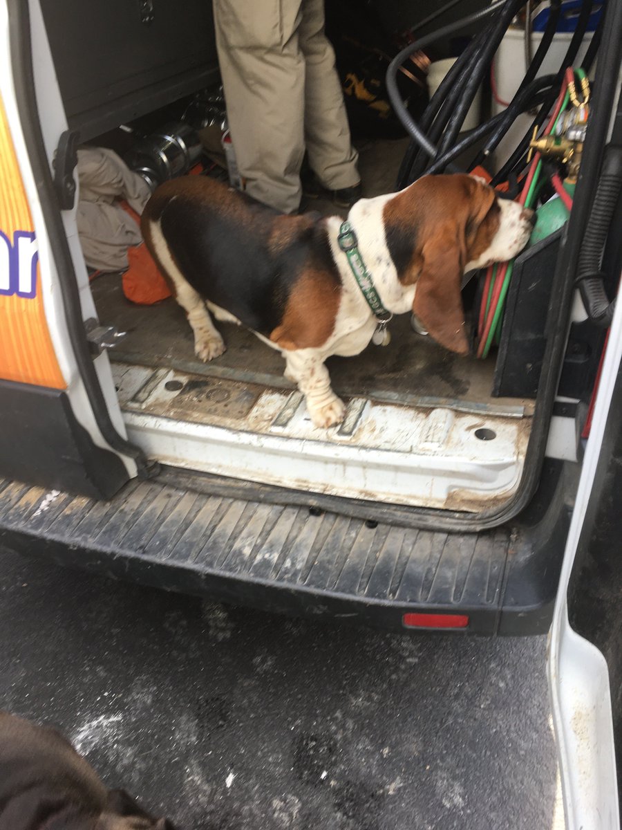 MinnicksHVAC's tweet photo. We occasionally get some extra help on certain jobs. π
#minnicks
#hvaccats
#hvacdogs
#ridealong
#hvacvan
#hvacinspection https://t.co/rY7RS7NT4P
