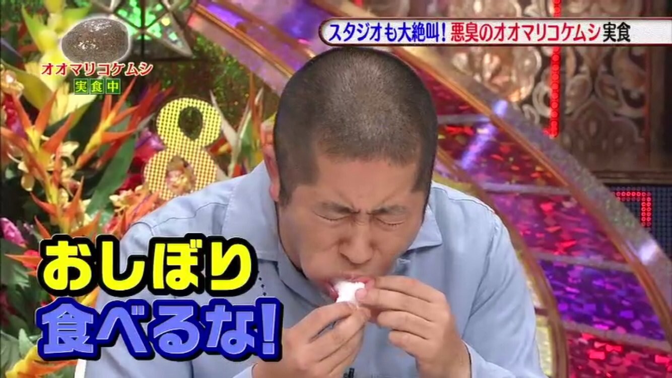 よしだただひろ Sur Twitter オオマリコケムシは臭すぎて澤部がおしぼり食べ始めたの覚えてる よしだただひろ Sur Twitter オオマリコケムシは臭すぎて澤部がおしぼり食べ始めたの覚えてる