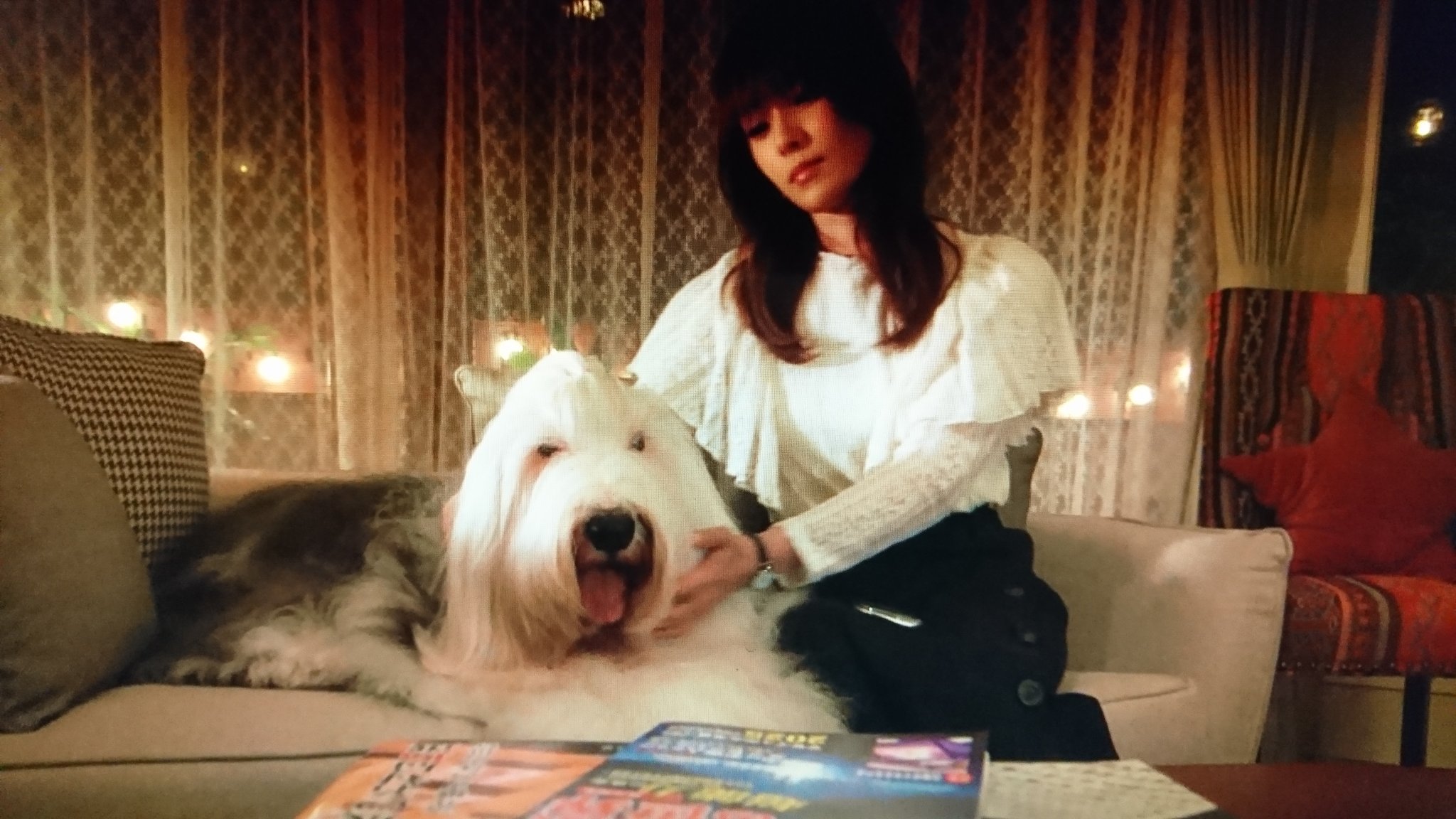 松尾芭蕉 絵になるのぉ 美男 美女ならぬ 美犬 美女 フワフワの毛にも抱きつきたいし 母性愛の深キョンにも抱きつきたいなり はじこい 初めて恋をした日に読む話 T Co Zcxmr1aky2 Twitter