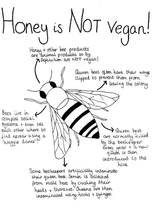 thevegansnuts's tweet photo. Why Vegans don't eat honey 🚫🍯🐝🌱 please use plant based alternatives like agave, fruit syrup, rice syrup or date Syrup. Honey is not Vegan! #savethebees #honey #Vegan #GoVegan #plantpowered #bees #agave #ricesyrup #datesyrup #CompassionOverCruelty 🐝🐝🐝💚✌🌱🙏 https://t.co/jfOuTxEUCW