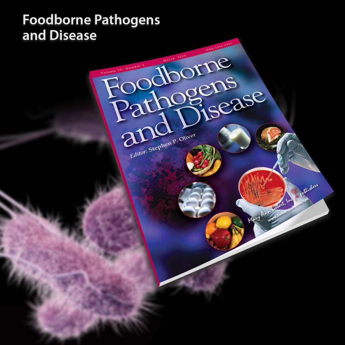 epub magnetic resonance in food science defining food by