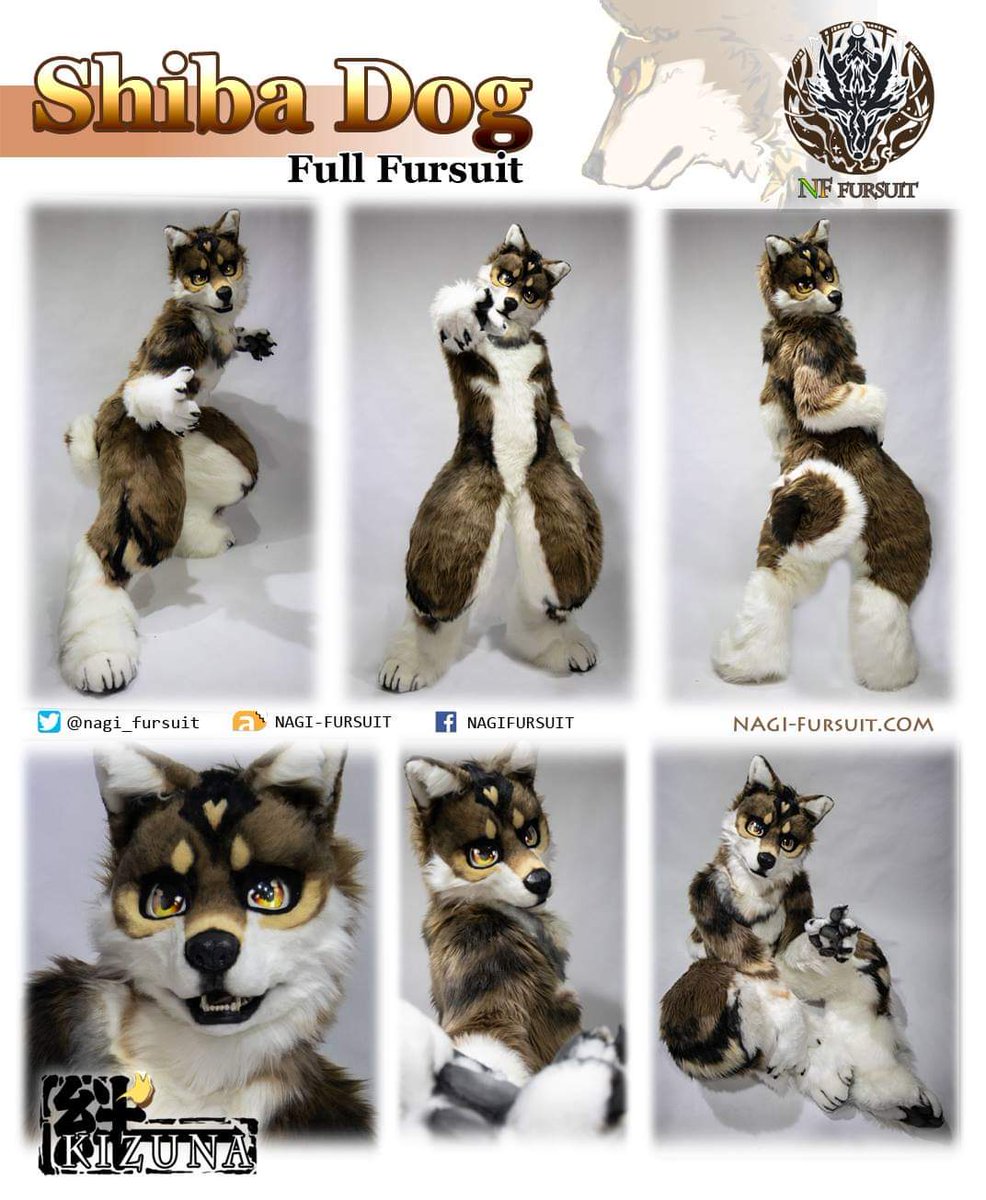 Nagi那岐 Stay In Taiwan 新しい作品のリンクスは完成しました D B 柴犬 と四国犬ミックスのキャラクターデザイン 名前は絆です New Work Is Finished Name Is Kizuna 絆 Design Form Shiba And Japanese Dog Kizuna Shiba Nffursuit
