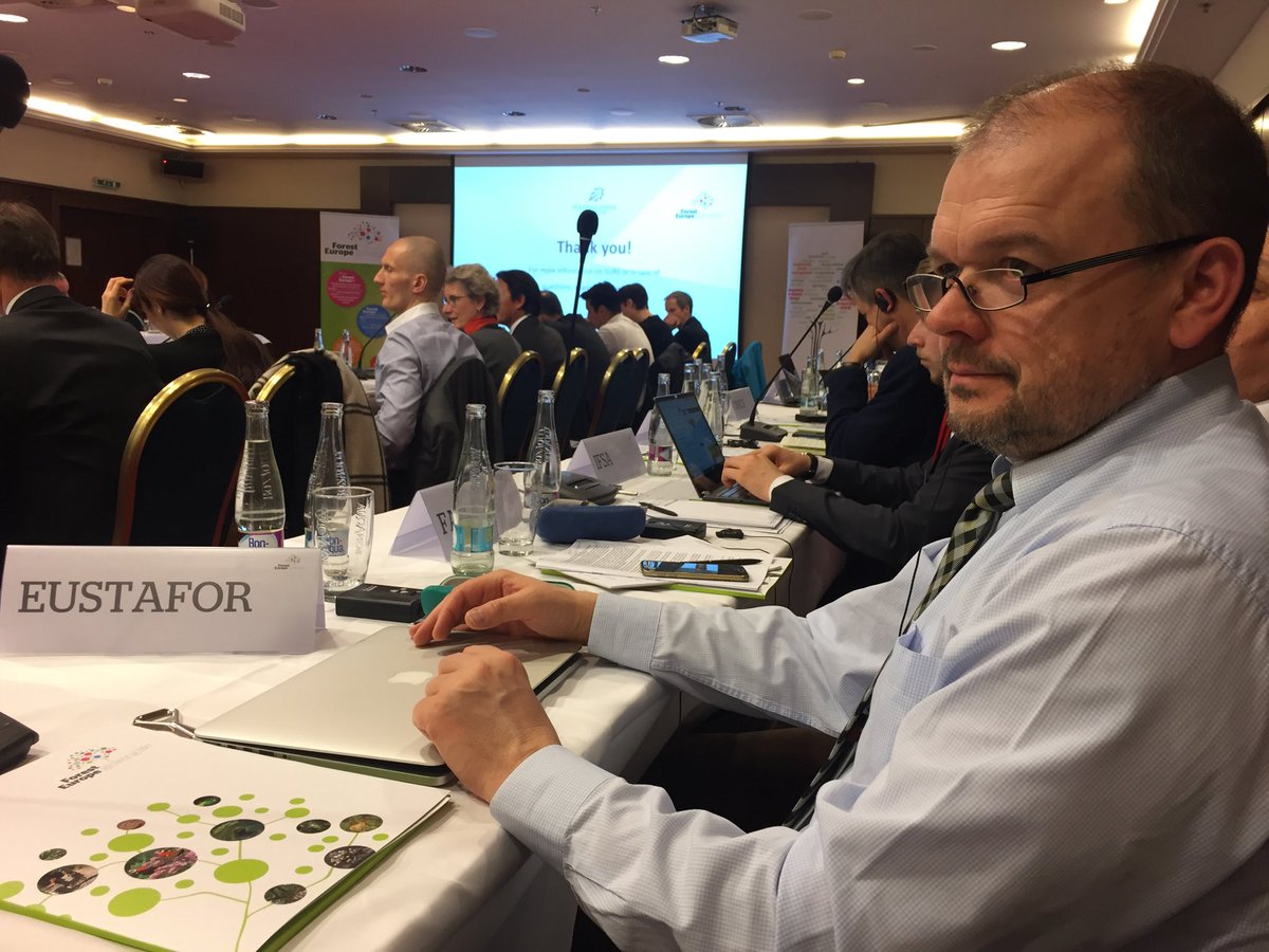 EUSTAFOR's tweet photo. .⁦@EUSTAFOR⁩ participates in ⁦@FORESTEUROPE⁩ Expert Level Meeting which, among others, discusses #forestrisks and #climateadaptation in the context of the next Ministerial Conference https://t.co/4xMw5htYfC