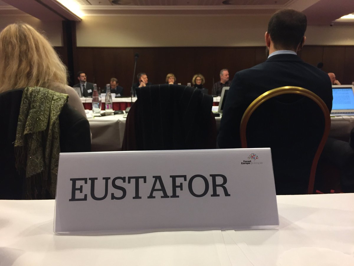 EUSTAFOR's tweet photo. .⁦@EUSTAFOR⁩ participates in ⁦@FORESTEUROPE⁩ Expert Level Meeting which, among others, discusses #forestrisks and #climateadaptation in the context of the next Ministerial Conference https://t.co/4xMw5htYfC