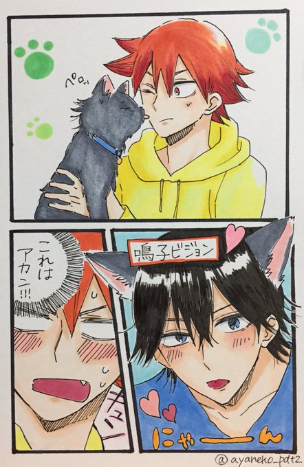 あやねこ🚴‍♂️👑(@ayaneko_pdt2) さんのマンガ一覧 : 3ページ目