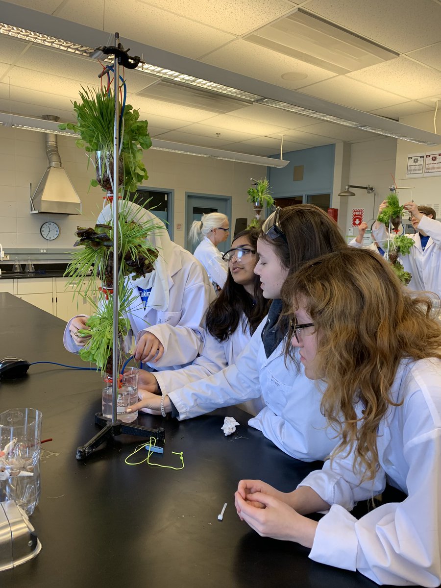 LangevinSchool's tweet photo. Langevin got 9 students creating hydroponic drip gardens to utilize grey water #CBESTEM #cawst #h2onward #sait #worldwaterweek https://t.co/kjkB5nT6ut