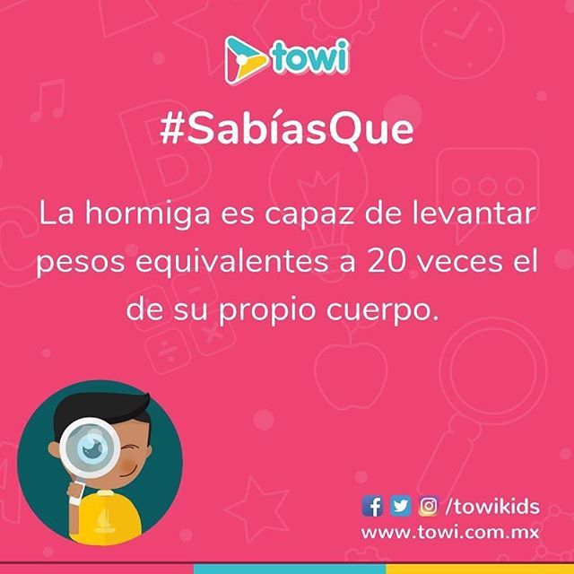 towikids's tweet photo. No las subestimen por su pequeño tamaño. #sabiasque #aprendecontowi https://t.co/J2dIblbuDV https://t.co/0R5bR60xFl