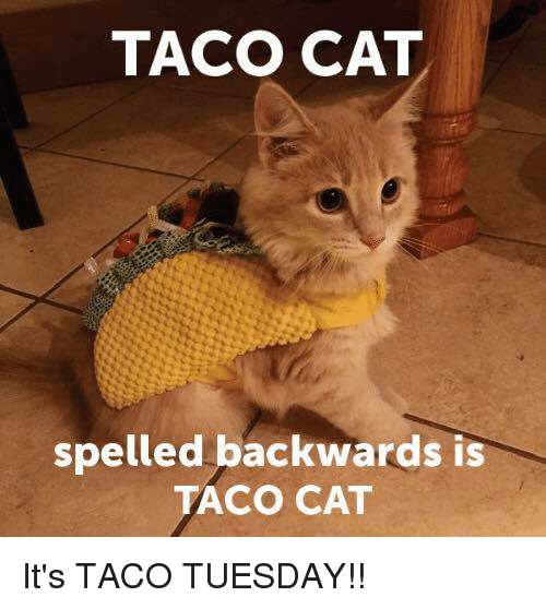 MyAirForceLife's tweet photo. It's #TacoTuesday!! The only thing that will make this day better is a picture a taco cat, because why not? Plus...it's a #Palindrome #TacoCat #EatMoreTacos #MilitaryDining https://t.co/vPDcgD66j3