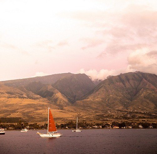 TravelShackHI's tweet photo. The majestic West Maui Mountains glowing pink as seen from the sunset sail! Come enjoy a special dining experience with us out on the calm waters of the Maui coast ⛵️

Book at https://t.co/f2xkRf0Wqg https://t.co/FhyRTsiBgN