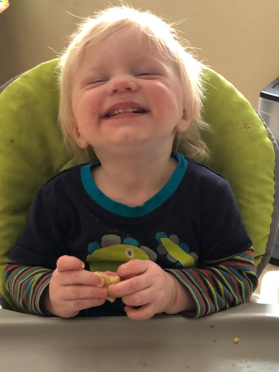 rascalweir's tweet image. Dare you not to smile