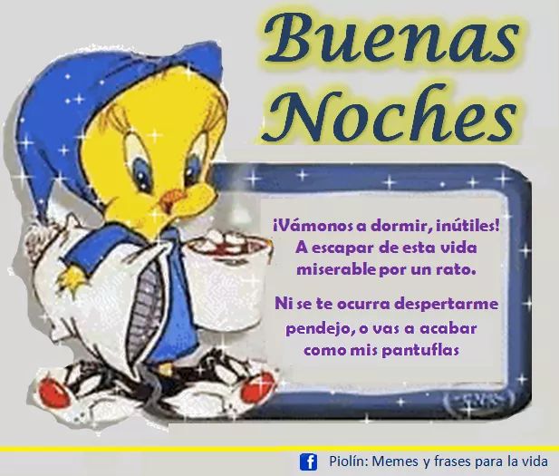 Piolín on Twitter: Piolín on Twitter: