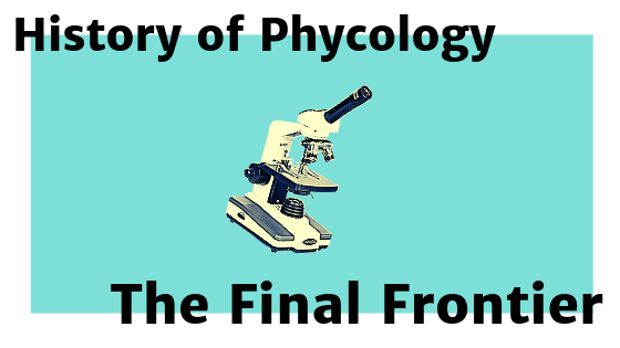 AlgaTalk's tweet photo. Our new algadventure is out! With the help of our Algae Time Machine we go back to see what #phycology was like in 19-20 centuries. #algae #algatalk #seaweed #historyofphycology #wherewearegoingwedontneedroads
https://t.co/li9yiEuE3r https://t.co/r0VbhOuMrO