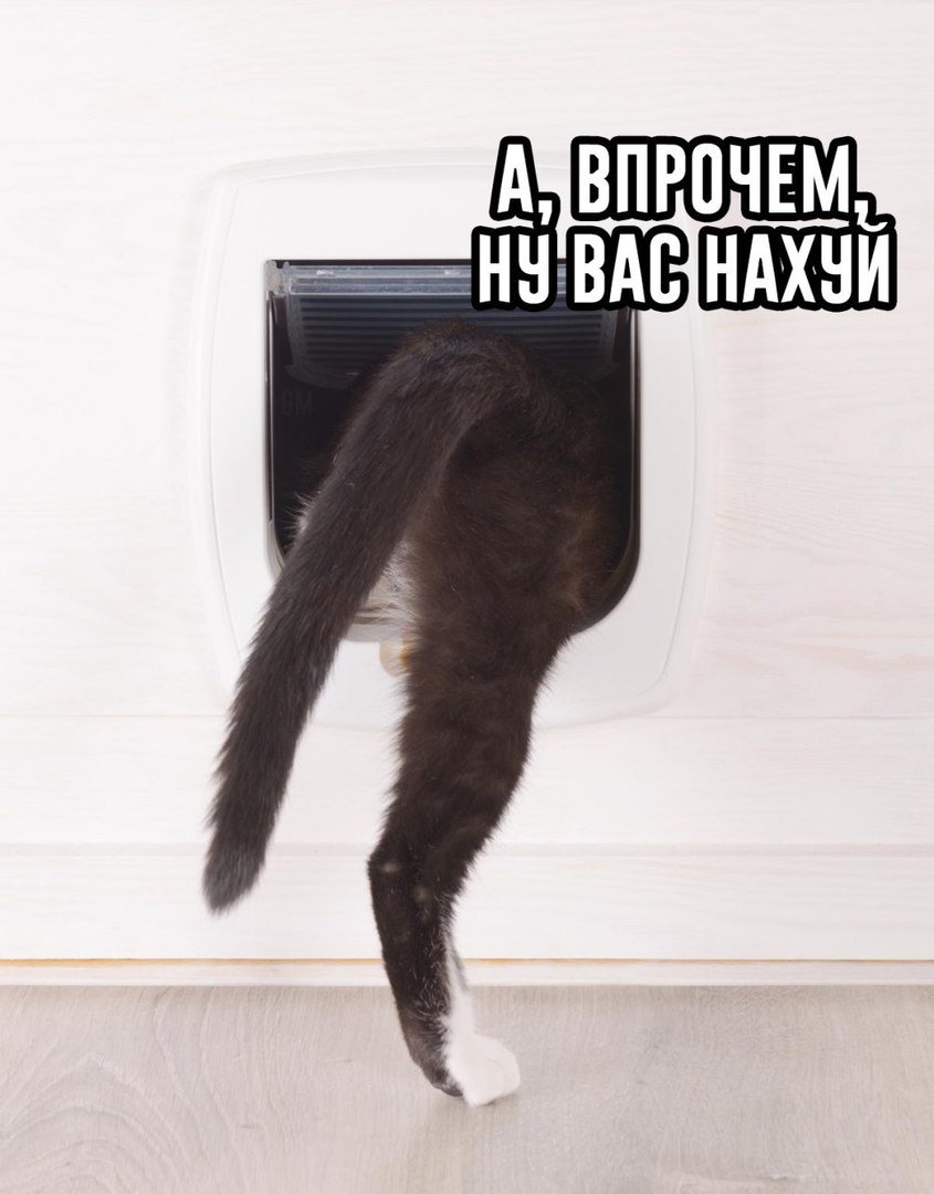 Средневековье зарплата. Вот он вместо. Вот он вместо. Вот он вместо. Вот он вместо.