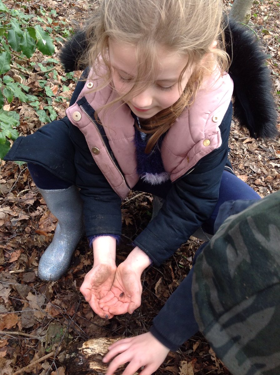 TarvinPrimary's tweet photo. Forest school #potterclass https://t.co/h1yEhuCuT0