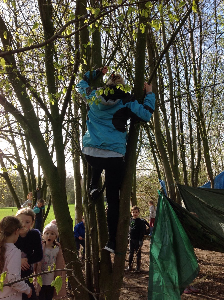 TarvinPrimary's tweet photo. Forest school #potterclass https://t.co/h1yEhuCuT0