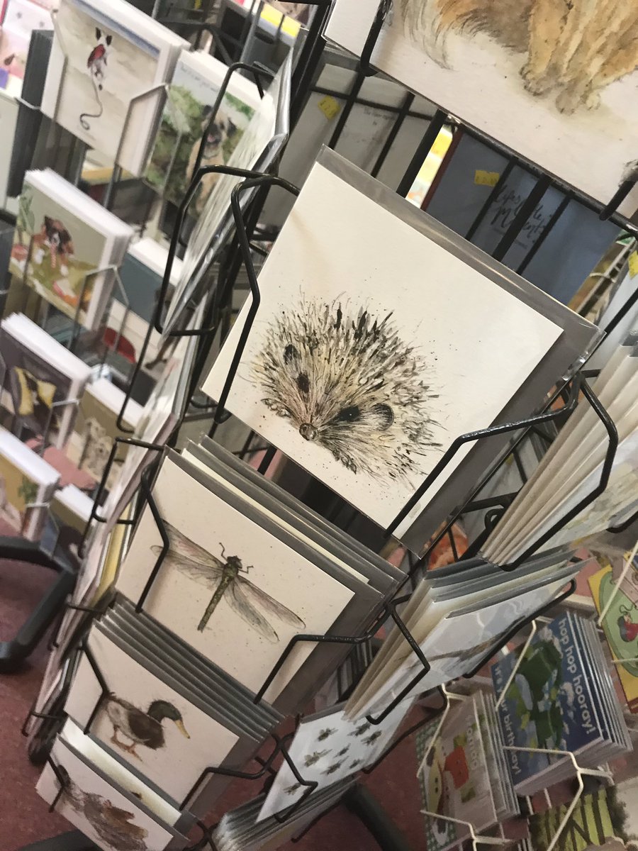 PTH_Cards's tweet photo. Our @SarahBoddy_ #greetingscards are selling so well at The Card Gallery in #kirkbylonsdale #cumbria #cardgains @CyrilService https://t.co/t0d5bEdsmn