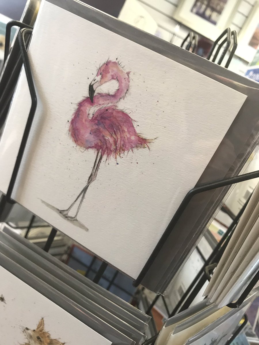 PTH_Cards's tweet photo. Our @SarahBoddy_ #greetingscards are selling so well at The Card Gallery in #kirkbylonsdale #cumbria #cardgains @CyrilService https://t.co/t0d5bEdsmn
