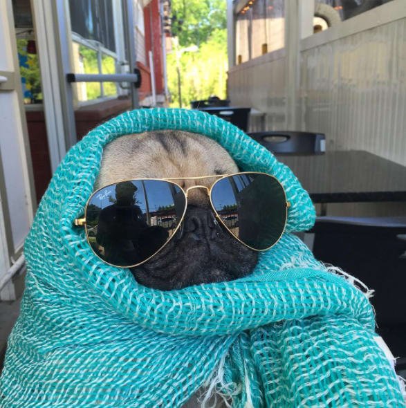 Abilene Bar Brooklyn tweet media