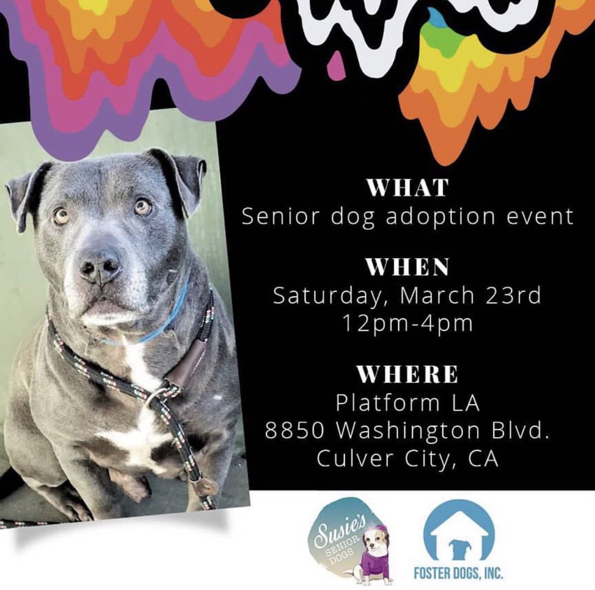 UrbanPawPet's tweet photo. Hey California! There’s an amazing “Seniors Only” adoption event comin’ your way! 🐶 https://t.co/sAW1Gq8kWv